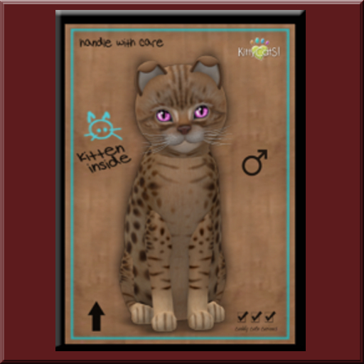 KittyCatS Box - Chauncy