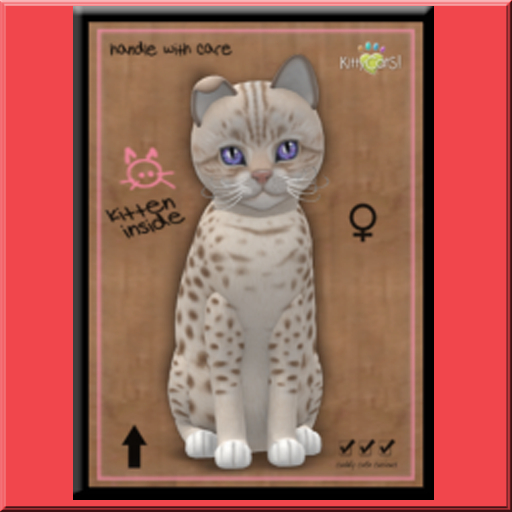 KittyCatS Box - Rush