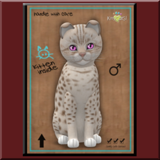 KittyCatS Box - Oci
