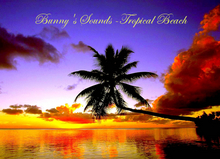 Bunny's Sounds -Tropical Beach Sound script-wave sound