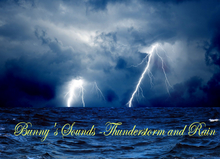Bunny's Sounds -Thunderstorm and Rain