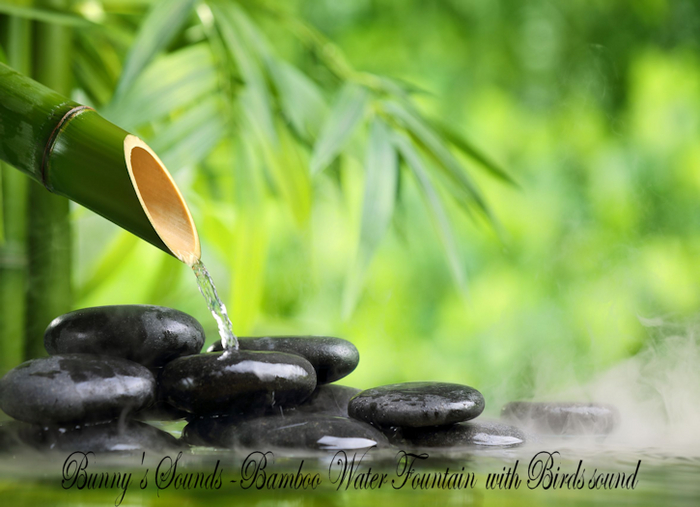 Bunny's Sounds -Bamboo and Rain with Birds