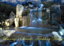 Bunny's Sounds -Trickling Water
