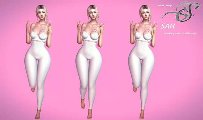 ES Poses - Sah (breathing)