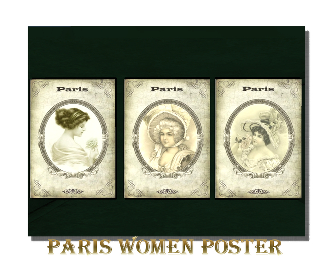 Paris Women Poster-full perm textures