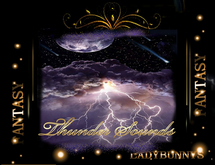 Bunny's sounds -Thunder and Rain