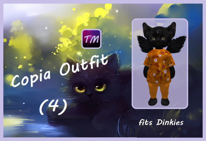 *TM*   Copia Outfit (4)