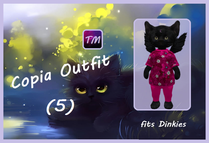 *TM*   Copia Outfit (5)