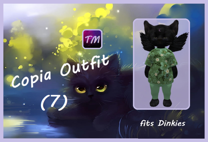*TM*   Copia Outfit (7)
