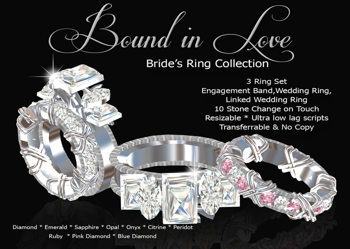 Exquisite Bound in Love Bride's Rings Platinum