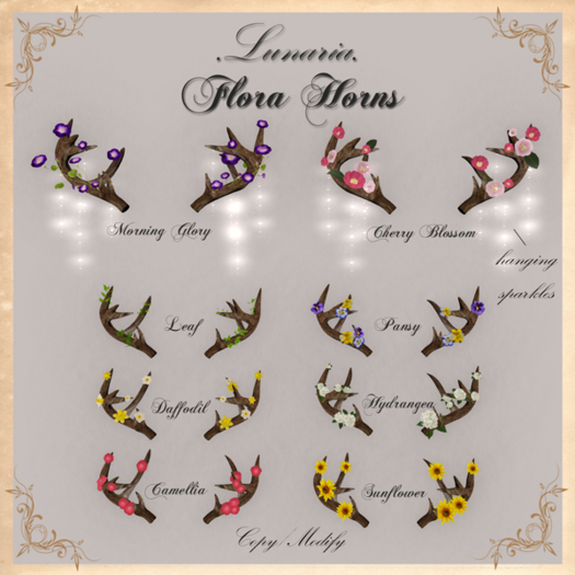 .Lunaria. Flora Horns 