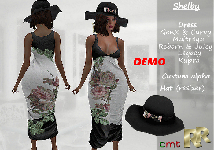 Shelby dress-DEMOS-Rejuve's raggs