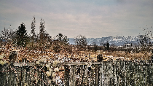 Winter day privacy wall