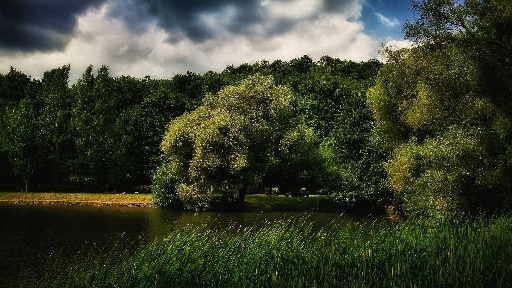 Treeland privacy wall