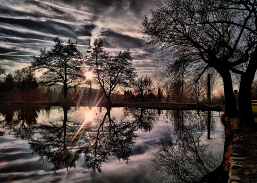 Pond and bridge privacy wall