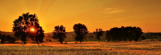 Orange sunset privacy wall