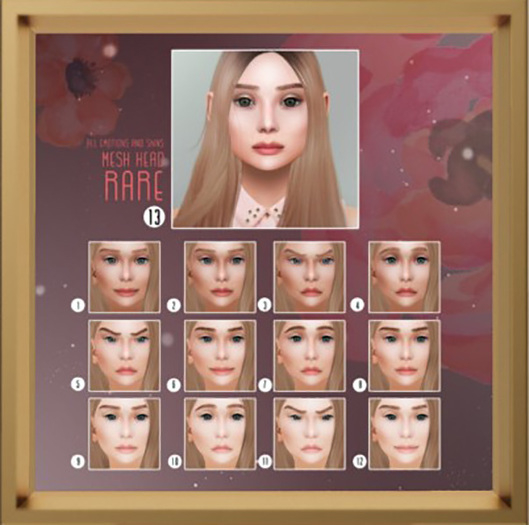 Fawny - Gabrielle Mesh Head. RARE