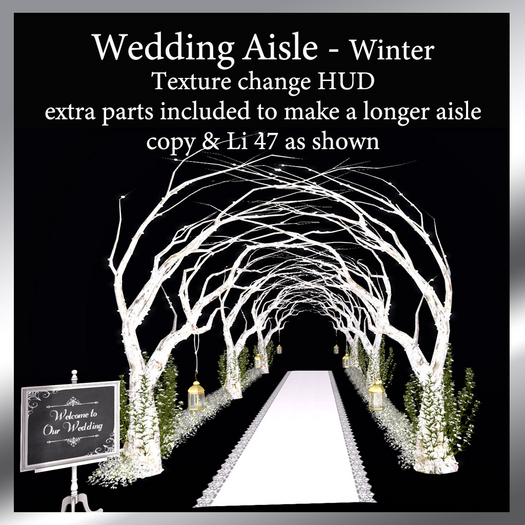 Winter Wedding Aisle 