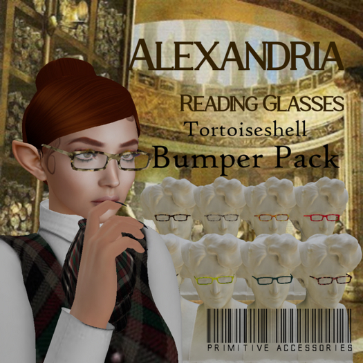 PRIMitive Accessories - Alexandria Tortoiseshell Bumper Pack