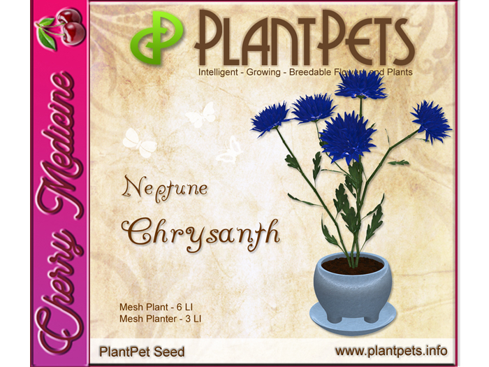 PlantPet Seed [Chrysanth *Neptune*]