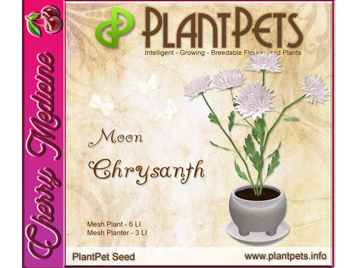 PlantPet Seed [Chrysanth *Moon*]