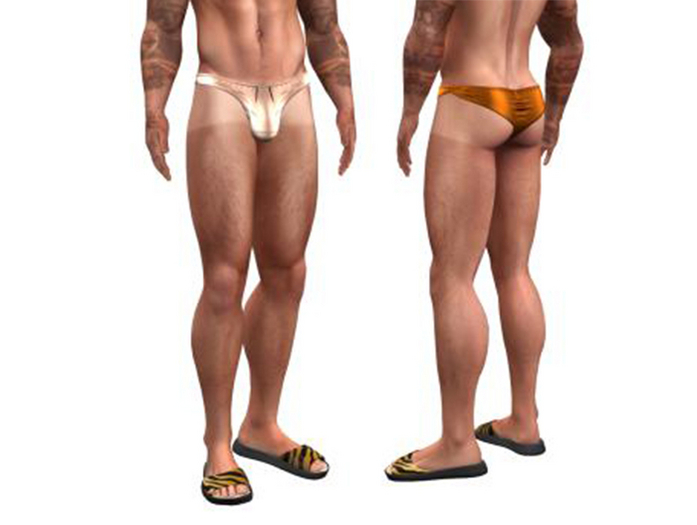 Silky Speedo Shark Brown TwoSided