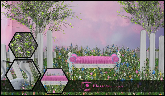 Joplino Backdrop Blossom