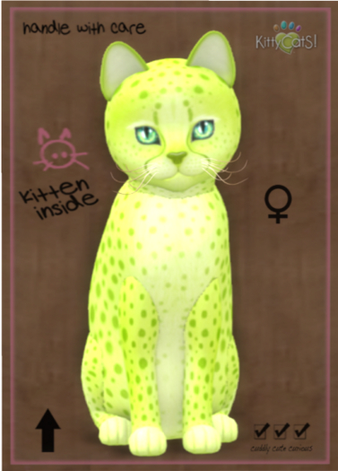 KittyCatS Box - Cheetah! - Lime No. 2