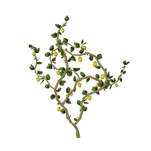 DFS Lemon Tree - Vines