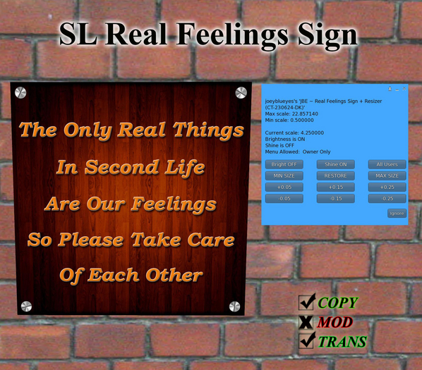 JBE ~ Real Feelings Sign + Resizer (CT-230624-DK)