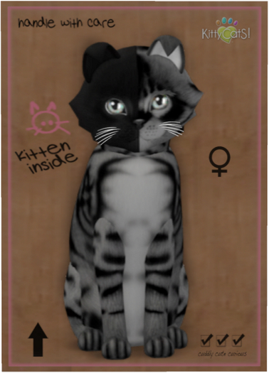 KittyCatS Box - Chimera - Charcoal Mist