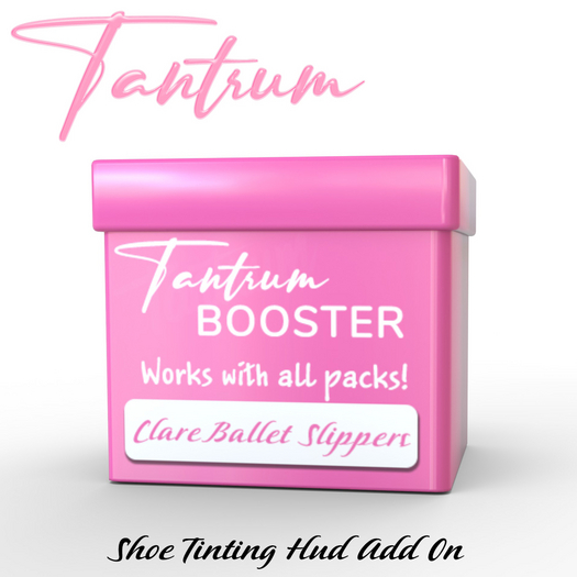Tantrum - Clare Ballet Slipper - Booster