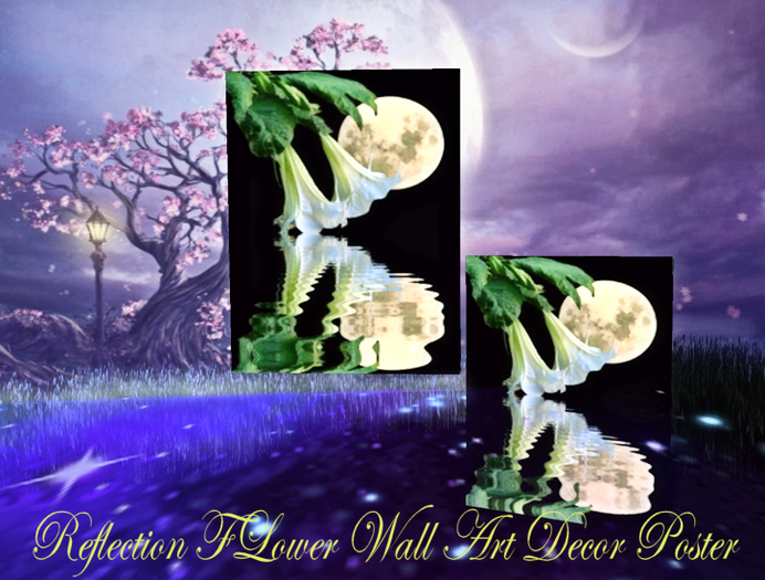 Reflection FLower Wall Art Decor Poster
