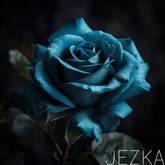 JEZKA - Full Perm Texture 333