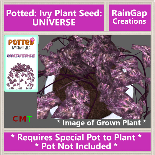 Potted: Ivy Plant Seed: Universe ACTUAL ITEM