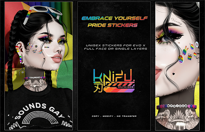 KNIFU. Embrace Yourself Pride Stickers (EvoX)