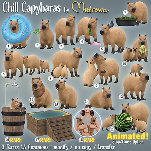 14. Mutresse-Chill Capybaras