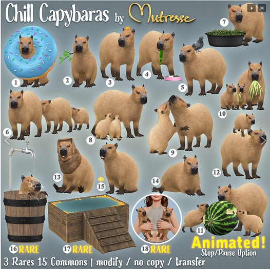 8. Mutresse-Chill Capybaras