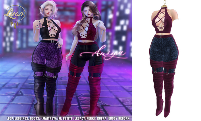 Luas Amiya Berry & Blue