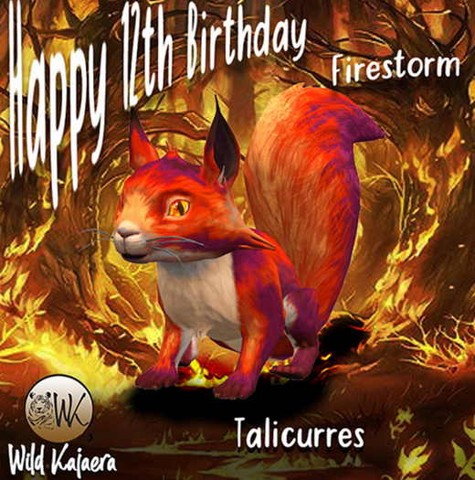 WK Firestorm 12 BDay Gift