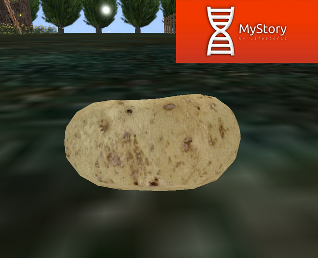 MyStory - Potato
