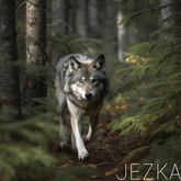 JEZKA - Full Perm Texture 372