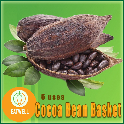 DFS Cocoa Bean Basket (Actual Item)