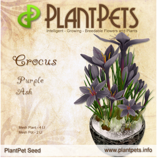 PlantPet Seed [Crocus *Purple Ash*]