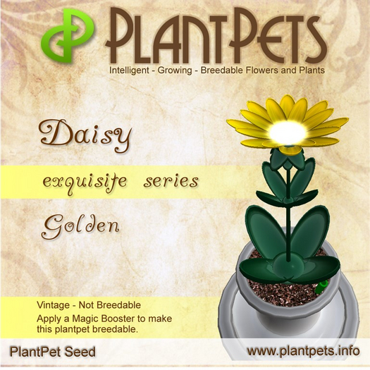 PlantPet Seed [Daisy *Golden*]