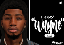 3x Wayne Skin Reworked Bom/Evo