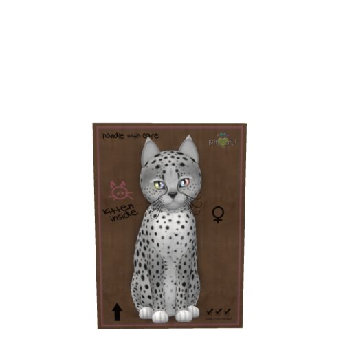 KittyCats Box - Cheetah! - Silver - Size - Normal