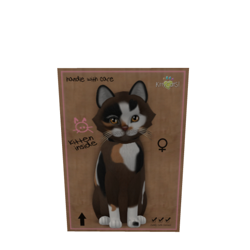 KittyCats Box - Genesis - Patch II - Size - Normal