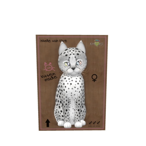 KittyCats Box - Cheetah! - Silver - Size - Normal