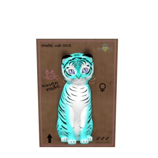 KittyCats Box - Tiger! - Turquoise - Size - Normal